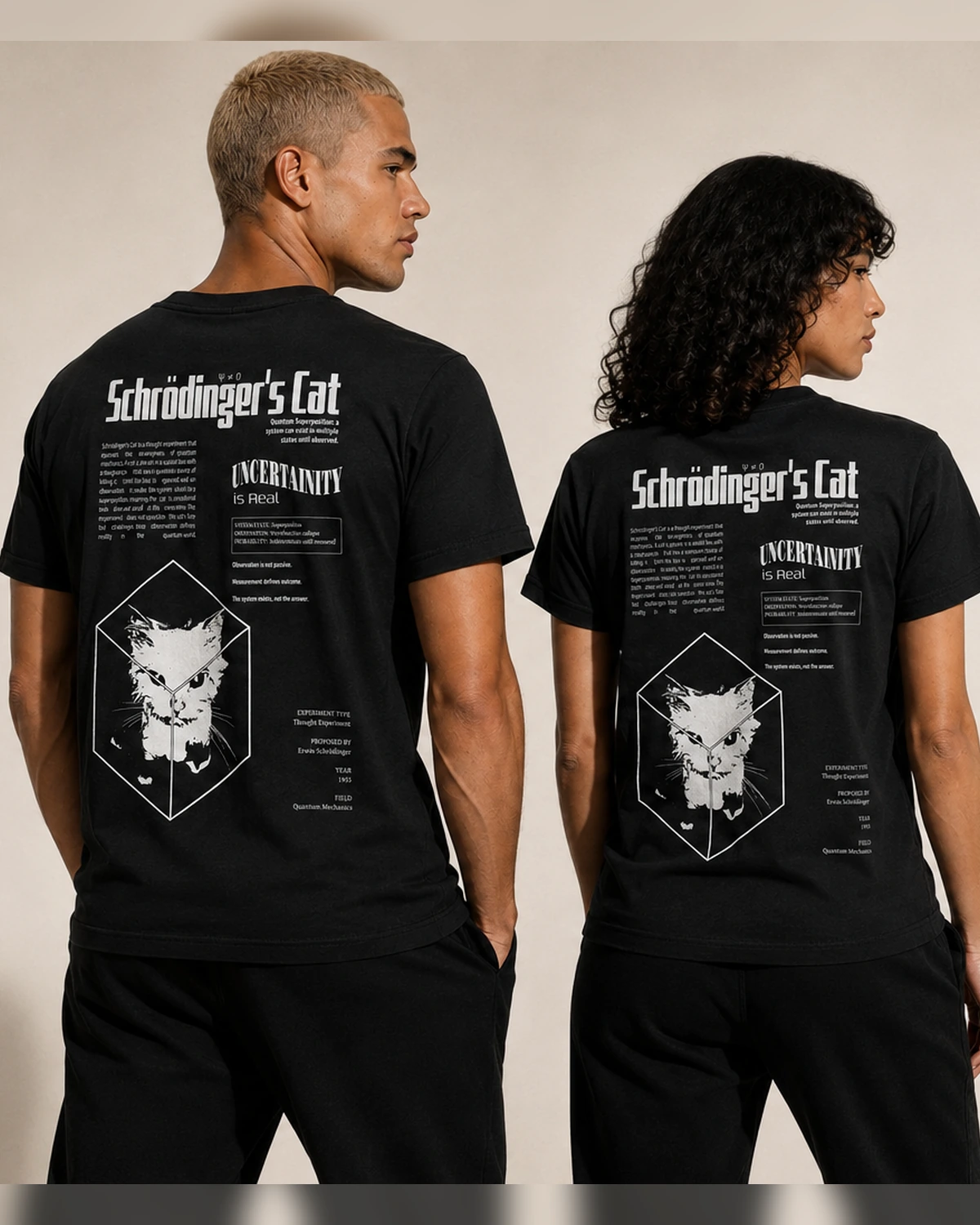 Gato de Shrodinger